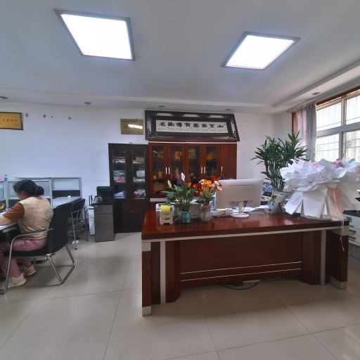 VR看厂