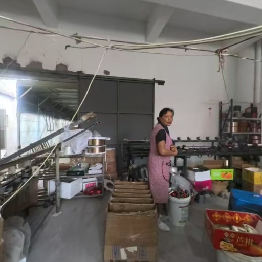 VR看厂