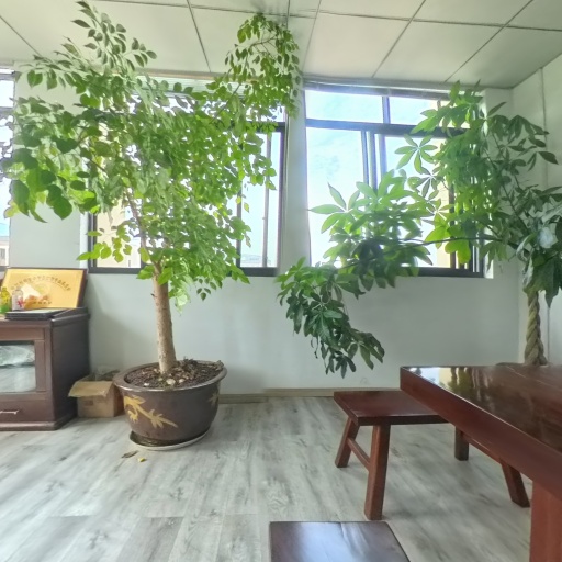 VR看厂