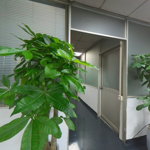 VR看厂