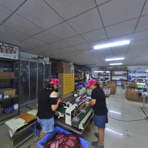 VR看厂