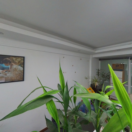 VR看厂