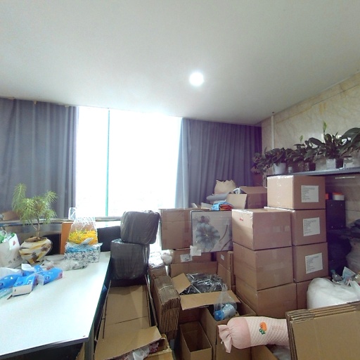 VR看厂