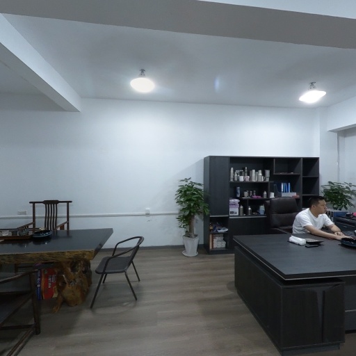 VR看厂