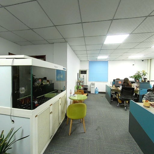 VR看厂