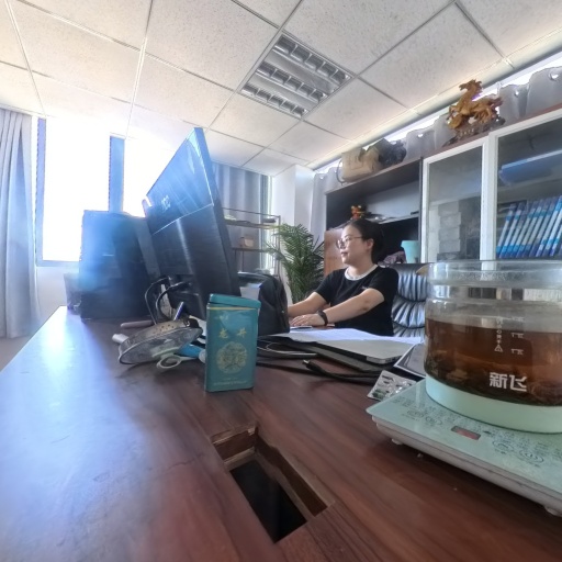 VR看厂