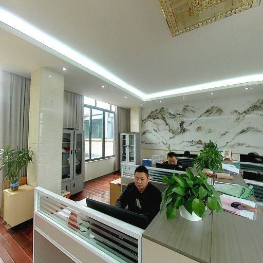 VR看厂