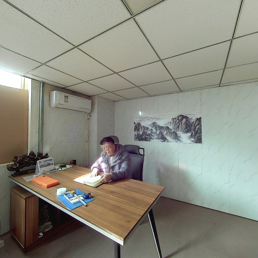 VR看厂