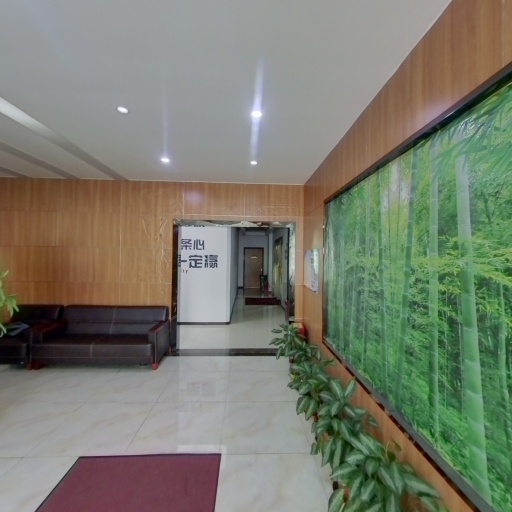 VR看厂