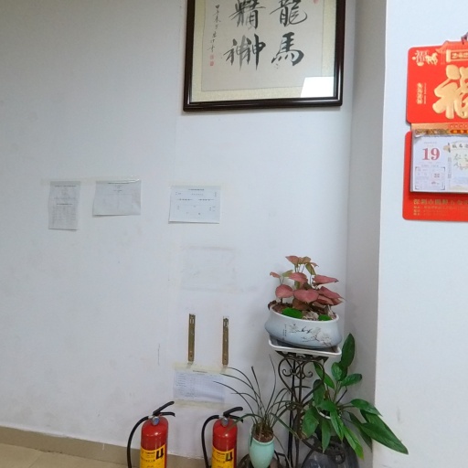 VR看厂